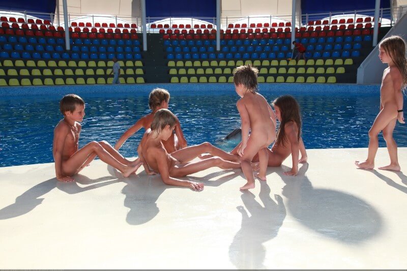 Swimming dolphins photo gallery - This movement helps people understand that the naked body is not an object for judgment or condemnation