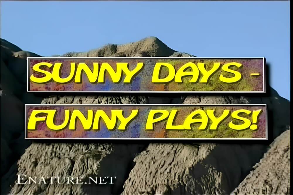 Enature - Sunny Days – Funny Plays - The practice of naturism promotes inner harmony and peace