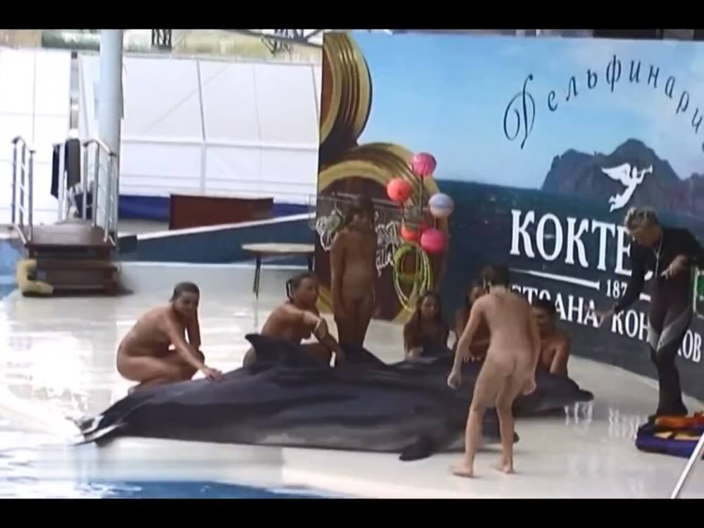 Relaxing at the dolphinarium - The impact of naturism on health
